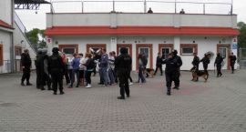 zdjęcie nr 9