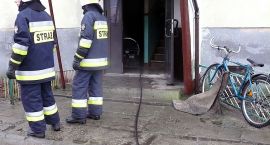Fotka nr 3 z 9