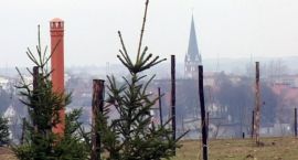 zdjęcie nr 11