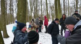 zdjęcie nr 13