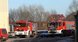 Fotka nr 1 z 4