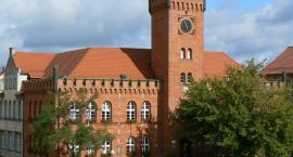 zdjęcie nr 7