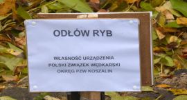 Fotka nr 1 z 4
