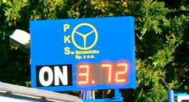 Fotka nr 3 z 8