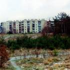 zdjęcie nr 46