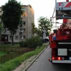 Fotka nr 1 z 4