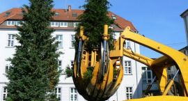 zdjęcie nr 7