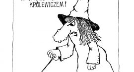 zdjęcie nr 12