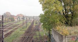 Fotka nr 1 z 2