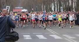 zdjęcie nr 13
