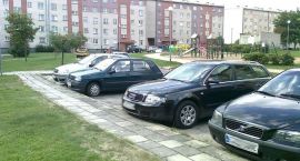 Fotka nr 3 z 11