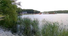 zdjęcie nr 9