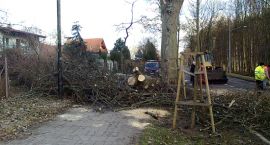 zdjęcie nr 13