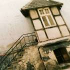 Fotka nr 5 z 13