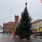 zdjęcie nr 9