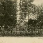 zdjęcie nr 17