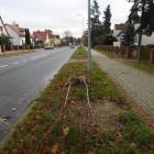 zdjęcie nr 16