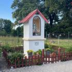 zdjęcie nr 14