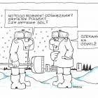 zdjęcie nr 17