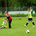 Fotka nr 2 z 11