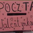 zdjęcie nr 10