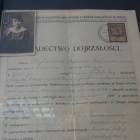 zdjęcie nr 22