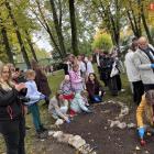 zdjęcie nr 7