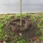 zdjęcie nr 13