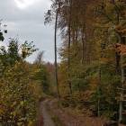 zdjęcie nr 34