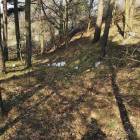 zdjęcie nr 8