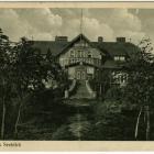 Fotka nr 3 z 21