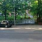 Fotka nr 3 z 8