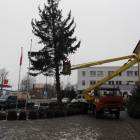 Fotka nr 1 z 8