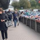zdjęcie nr 11
