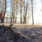 zdjęcie nr 8