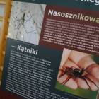 zdjęcie nr 15