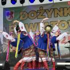 zdjęcie nr 10