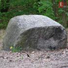 zdjęcie nr 27