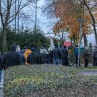 zdjęcie nr 13