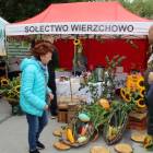zdjęcie nr 12