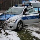 zdjęcie nr 9