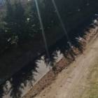 Fotka nr 3 z 13