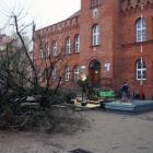 zdjęcie nr 8