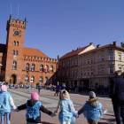 zdjęcie nr 23