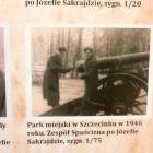 Fotka nr 2 z 12