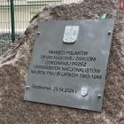 zdjęcie nr 10
