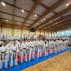 Fotka nr 1 z 10