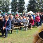 zdjęcie nr 16