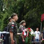 zdjęcie nr 31