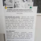 Fotka nr 4 z 5